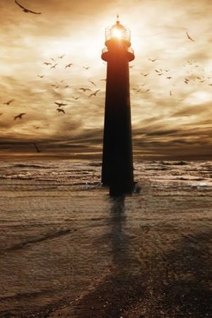 My Hope by Muhammad al Muqit